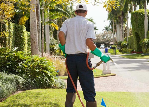 About Santa Rosa Beach FL Pest Control Pros